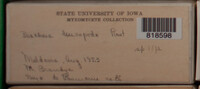 Image Associated With the Occurence